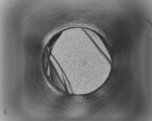 X0000098201511200805221529