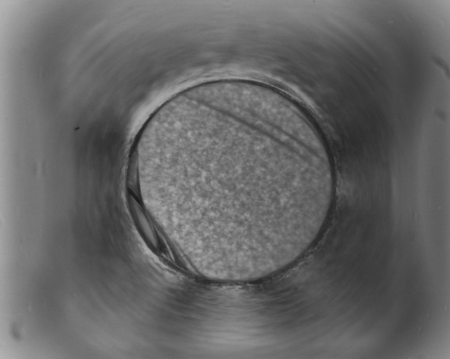X0000098201512200805221529