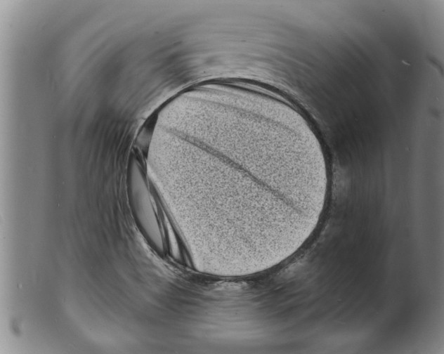 X0000098201513200805221529