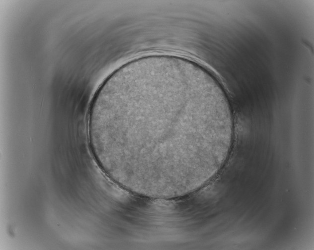 X0000098201514200805221529