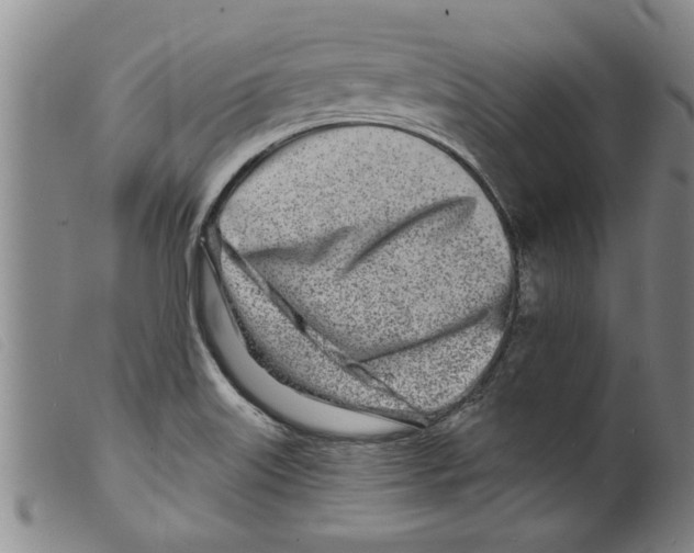 X0000098201515200805221529