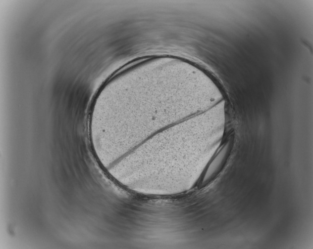 X0000098201517200805221529