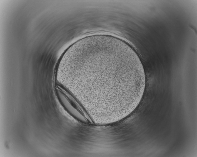 X0000098201518200805221529