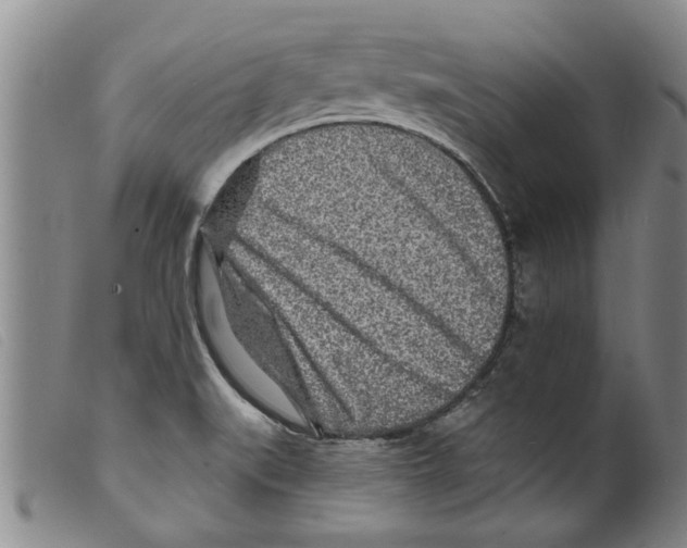 X0000098201519200805221529