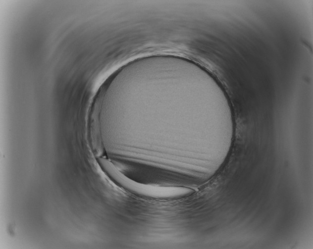 X0000098201520200805221529