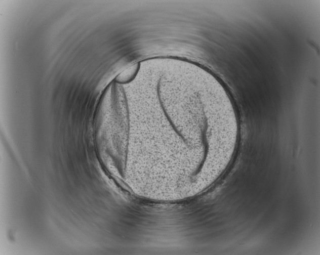 X0000098201521200805221529