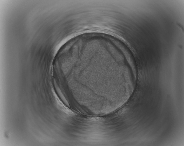 X0000098201522200805221529