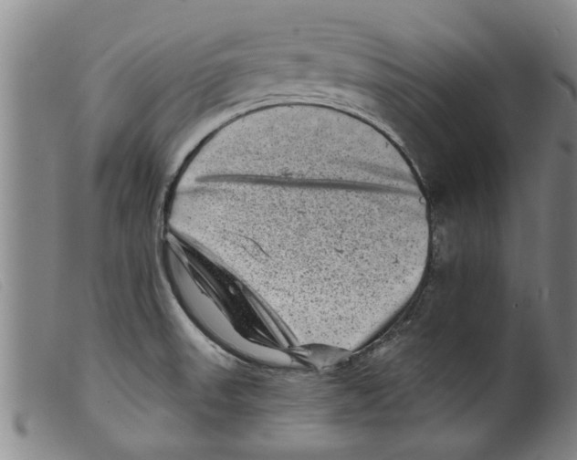 X0000098201523200805221529