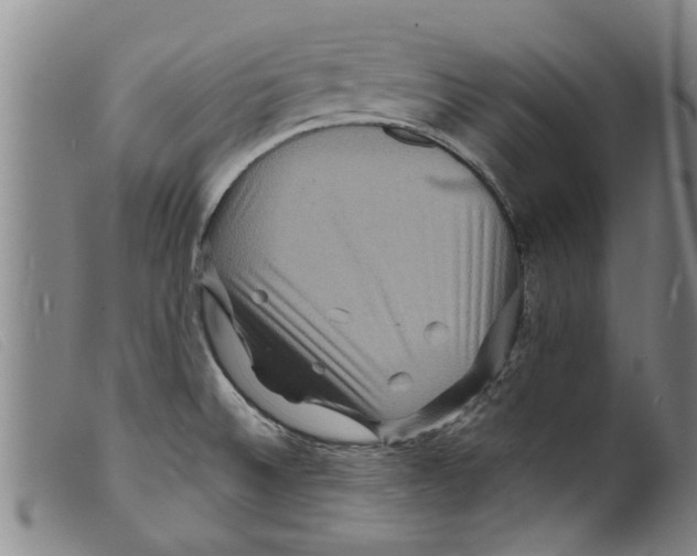 X0000098201524200805221529
