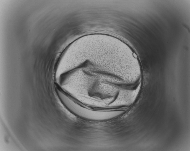 X0000098201525200805221529