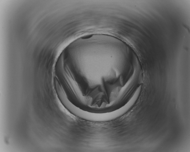 X0000098201528200805221529
