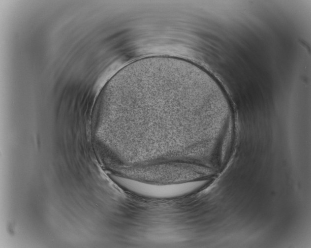 X0000098201529200805221529