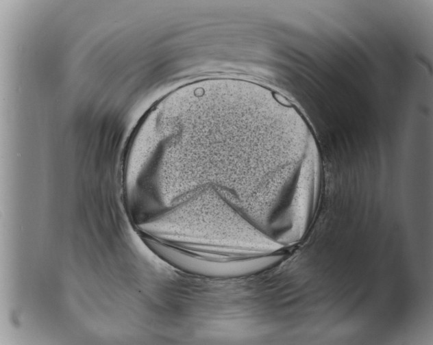 X0000098201531200805221530