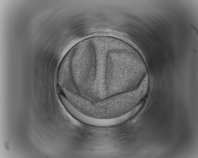 X0000098201533200805221530