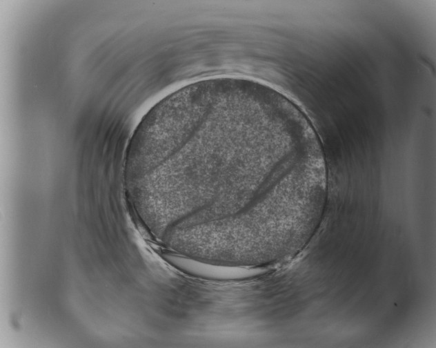 X0000098201534200805221530