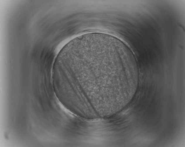 X0000098201535200805221530