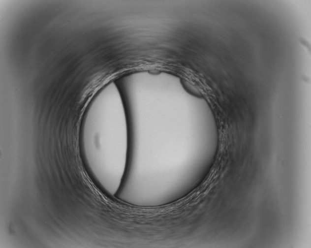 X0000098210002200804241112