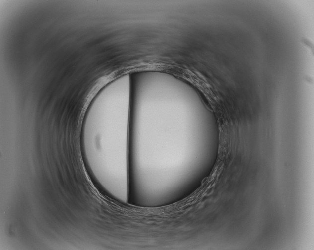 X0000098210003200804241112