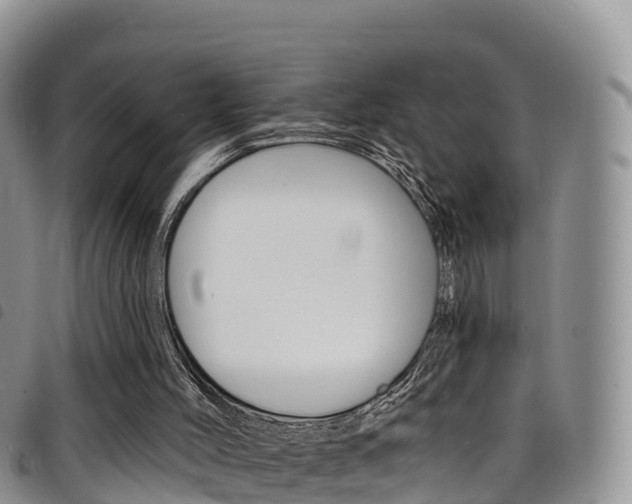 X0000098210004200804241112