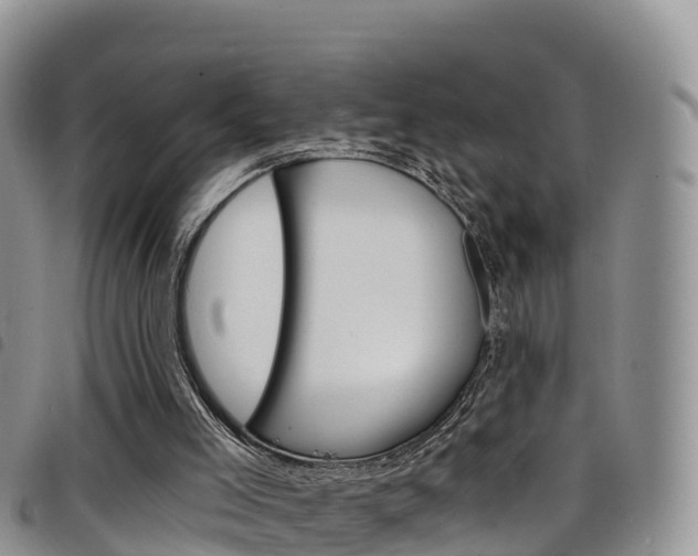 X0000098210005200804241112