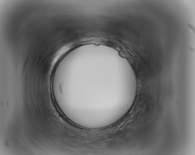 X0000098210006200804241112