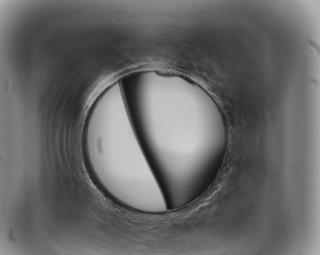 X0000098210007200804241112