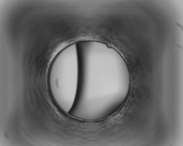 X0000098210008200804241112