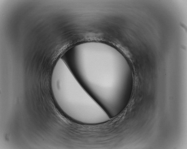 X0000098210009200804241112