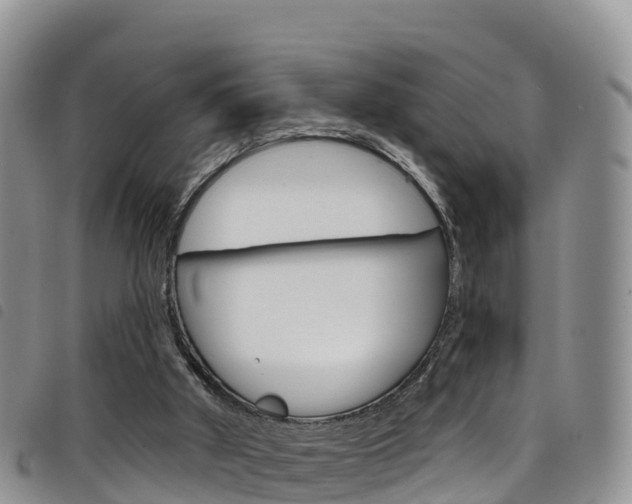 X0000098210010200804241112