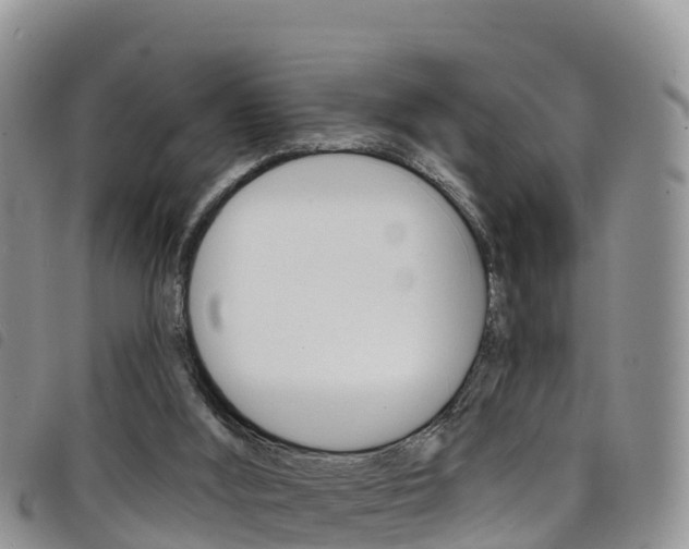 X0000098210012200804241112