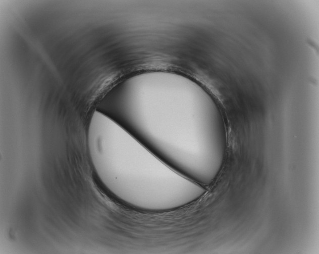 X0000098210013200804241112
