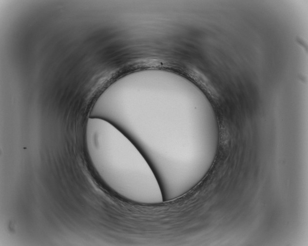 X0000098210014200804241112