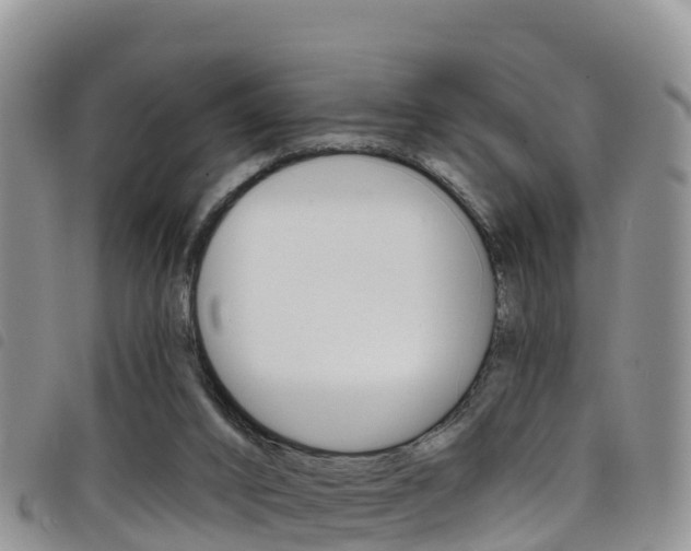 X0000098210016200804241112