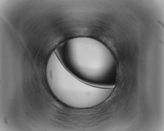X0000098210017200804241112