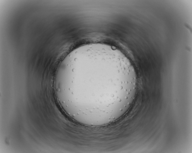 X0000098210018200804241112