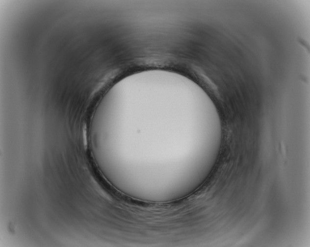 X0000098210020200804241112