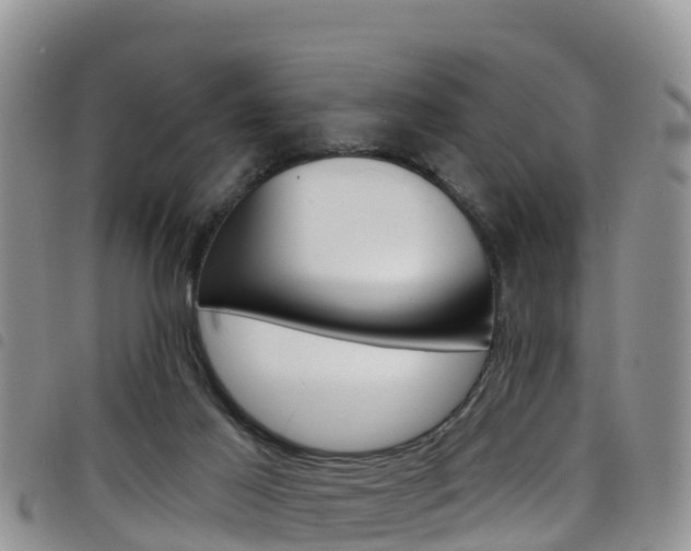 X0000098210021200804241112