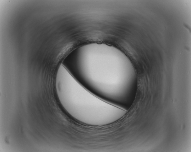X0000098210023200804241112