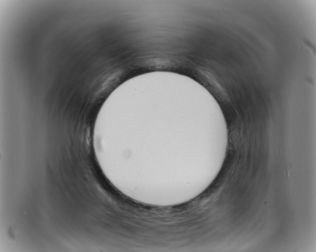 X0000098210024200804241112