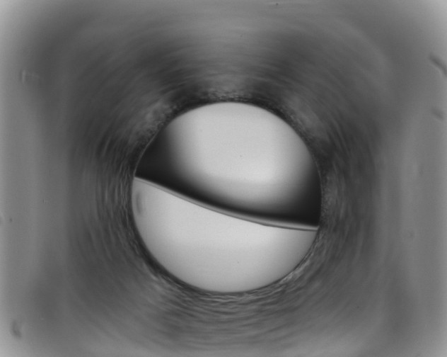 X0000098210025200804241112