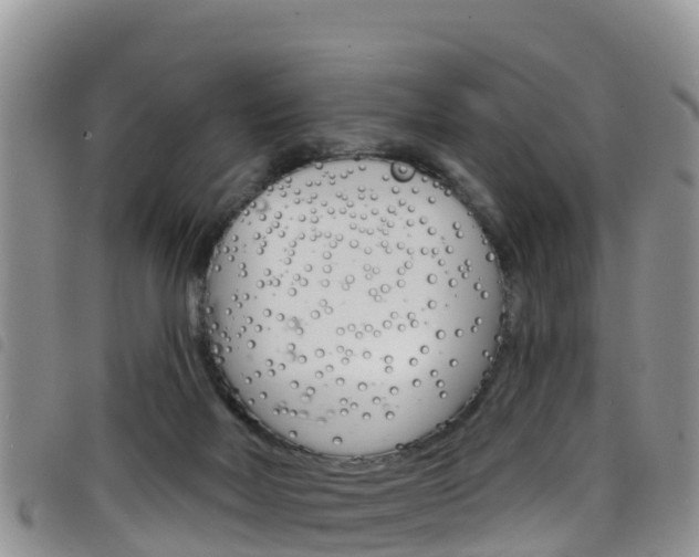 X0000098210026200804241112