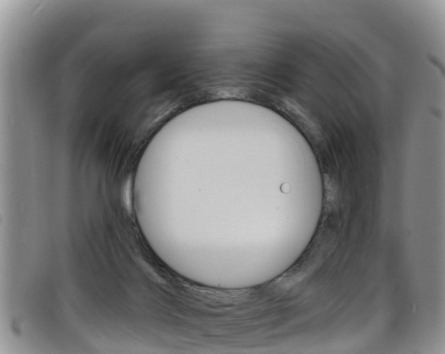 X0000098210028200804241112