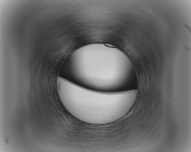 X0000098210029200804241112