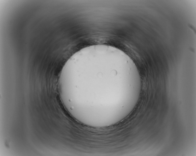 X0000098210030200804241112