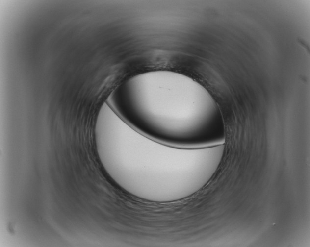 X0000098210035200804241112