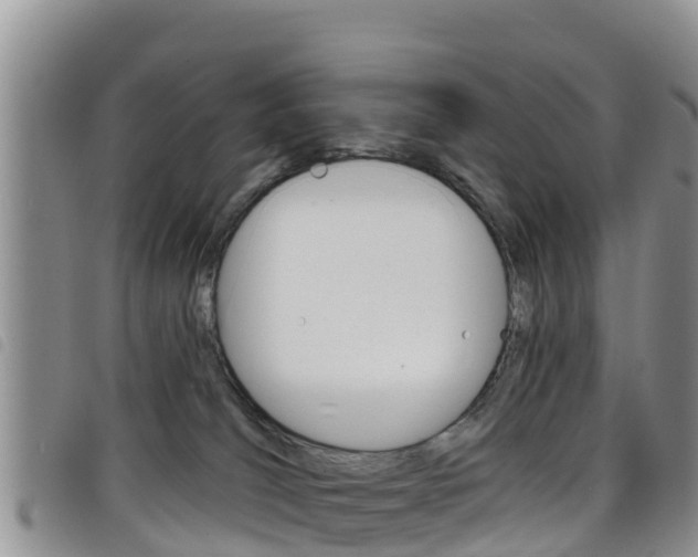 X0000098210036200804241112