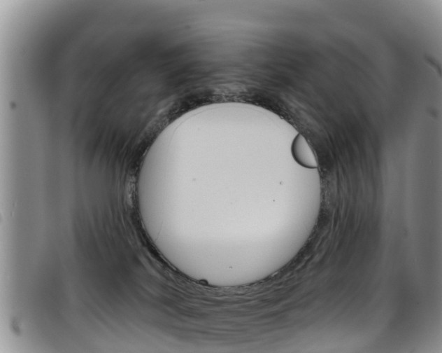 X0000098210038200804241112