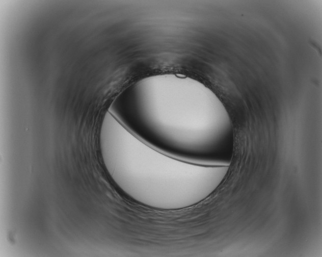 X0000098210039200804241112