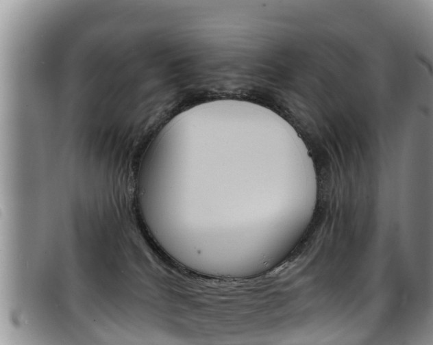 X0000098210040200804241112