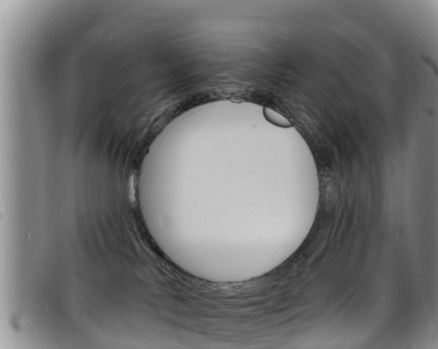 X0000098210042200804241111